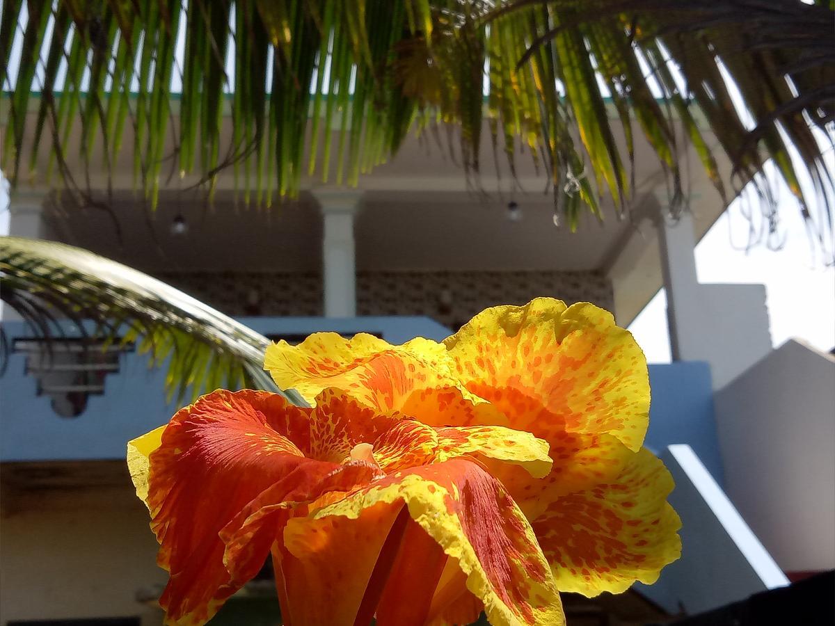 Githmini Beach House And Toures هيكادوفا المظهر الخارجي الصورة